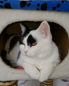 SundaySelfies7-8-2016