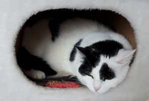 SundaySelfies7-8-2016