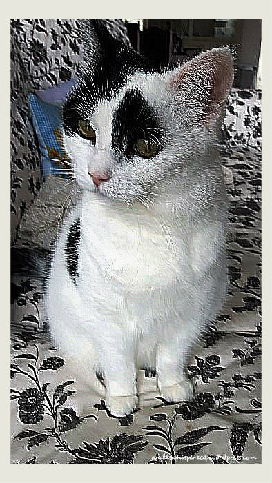 SuperPhoto_Creation_2016-08-06_110755inrelief.1