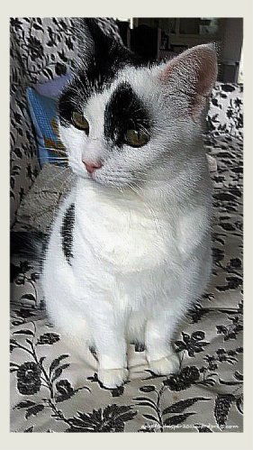 SuperPhoto_Creation_2016-08-06_110755inrelief.1