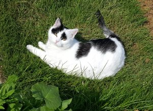 ThankfulThursday18-8-2016