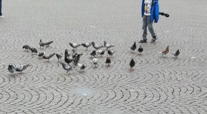 ThankfulThursday18-8-2016