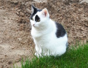 ThankfulThursday18-8-2016