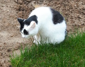 ThankfulThursday18-8-2016