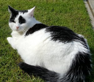 ThankfulThursday18-8-2016