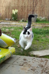 WordlessWednesday24-8-2016