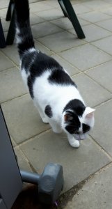 WordlessWednesday24-8-2016