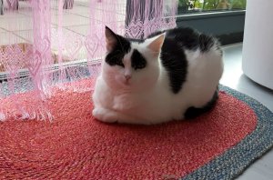 WordlessWednesday24-8-2016