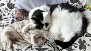 WordlessWednesday3-8-2016