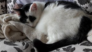 WordlessWednesday3-8-2016