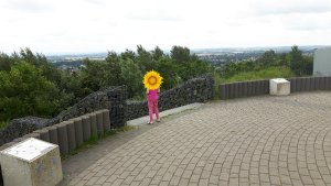 caturdayart17-9-2016