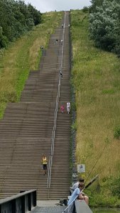 caturdayart17-9-2016