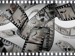 caturdayart17-9-2016