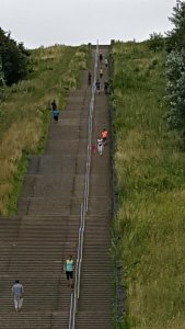 caturdayart17-9-2016