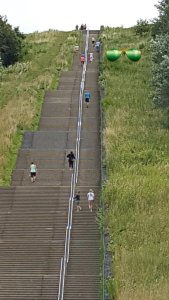 caturdayart17-9-2016