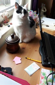 caturdayart17-9-2016