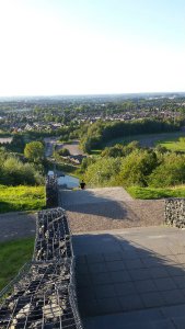 caturdayart17-9-2016