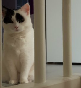 sundayselfieandtreatsforlexy