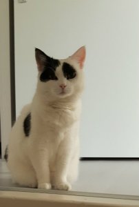 sundayselfieandtreatsforlexy