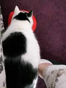 sundayselfieandtreatsforlexy