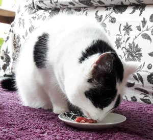 sundayselfieandtreatsforlexy