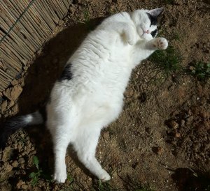 sundayselfieanotherones11-9-20016