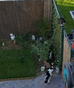 sundayselfieanotherones11-9-2016