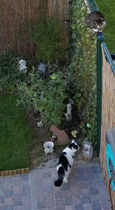 sundayselfieanotherones11-9-2016