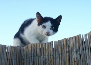 sundayselfieanotherones11-9-2016