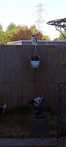 sundayselfieanotherones11-9-2016