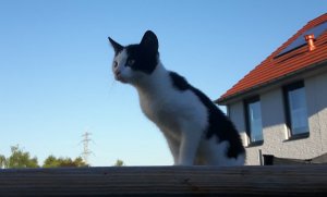 sundayselfieanotherones11-9-2016