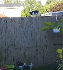 sundayselfieanotherones11-9-2016