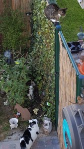 sundayselfieanotherones11-9-2016