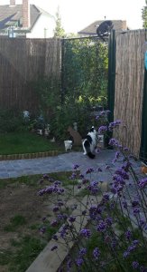 sundayselfieanotherones11-9-2016