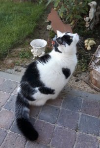 sundayselfieanotherones11-9-2016