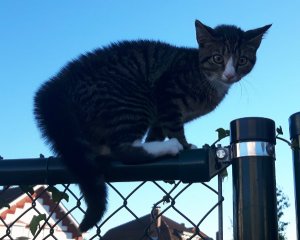 sundayselfieanotherones11-9-2016