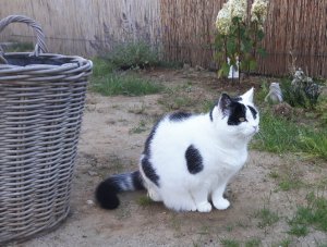 sundayselfieanotherones11-9-2016