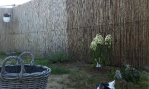 sundayselfieanotherones11-9-2016