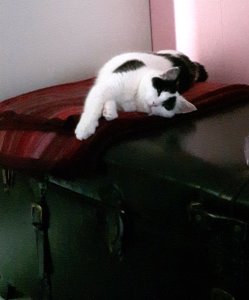 sundayselfies4-9-2016