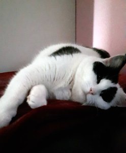 sundayselfies4-9-2016