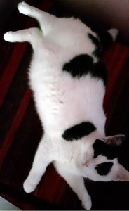 sundayselfies4-9-2016