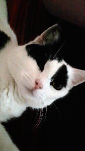 sundayselfies4-9-2016