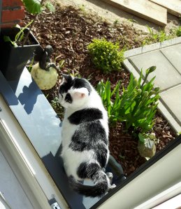 thankfulthursday15-9-2016