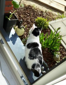 thankfulthursday15-9-2016