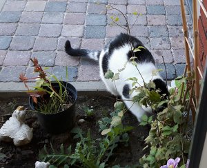 thankfulthursday15-9-2016