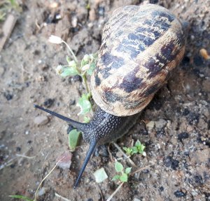 thankfulthursday15-9-2016