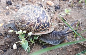 thankfulthursday15-9-2016