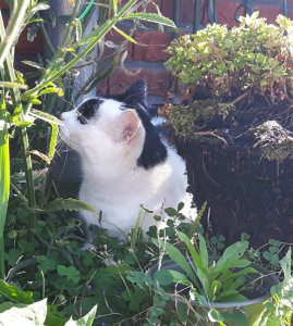 thankfulthursday15-9-2016