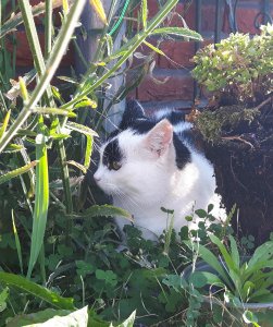 thankfulthursday15-9-2016