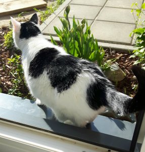 thankfulthursday15-9-2016